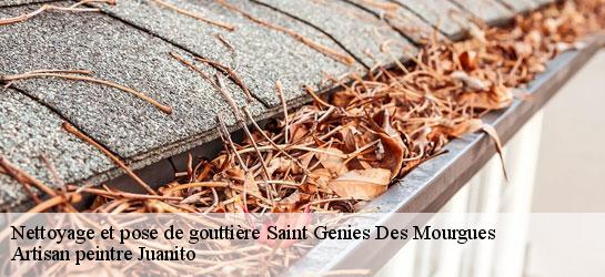 Nettoyage et pose de gouttière 34160