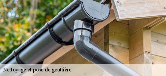 Nettoyage et pose de gouttière 34480