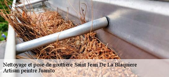 Nettoyage et pose de gouttière  34700