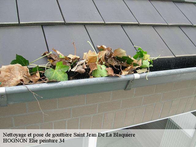 Nettoyage et pose de gouttière  saint-jean-de-la-blaquiere-34700 HOGNON Elie peinture 34