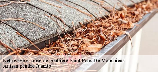 Nettoyage et pose de gouttière  34230