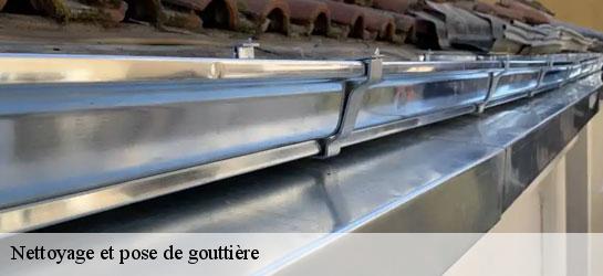 Nettoyage et pose de gouttière 34630