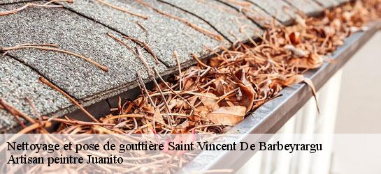 Nettoyage et pose de gouttière 34730