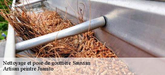 Nettoyage et pose de gouttière 34410