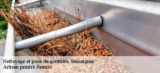 Nettoyage et pose de gouttière  34160