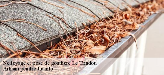 Nettoyage et pose de gouttière 34270