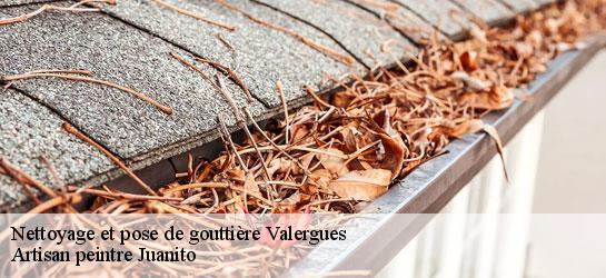 Nettoyage et pose de gouttière  34130