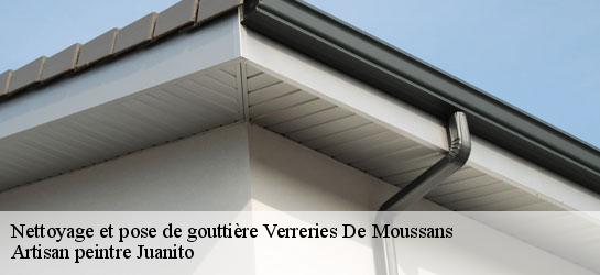 Nettoyage et pose de gouttière 34220