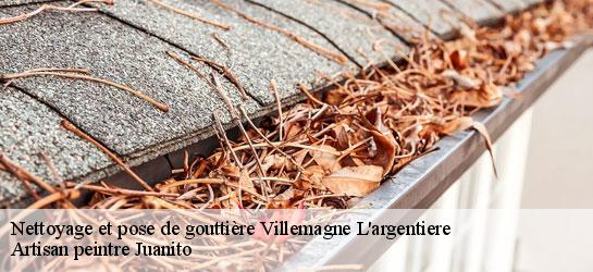 Nettoyage et pose de gouttière  34600