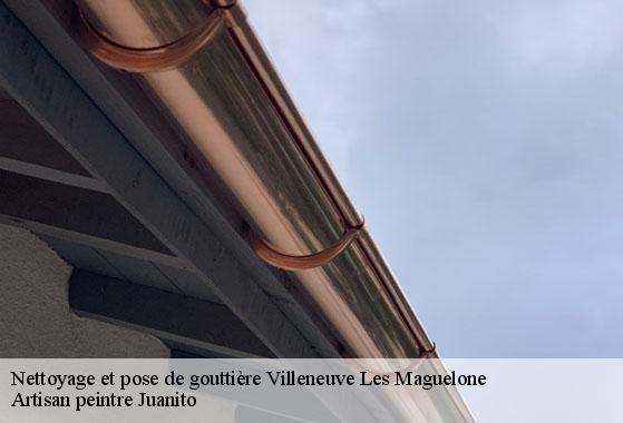 Nettoyage et pose de gouttière villeneuve-les-maguelone-34750 Artisan peintre Juanito
