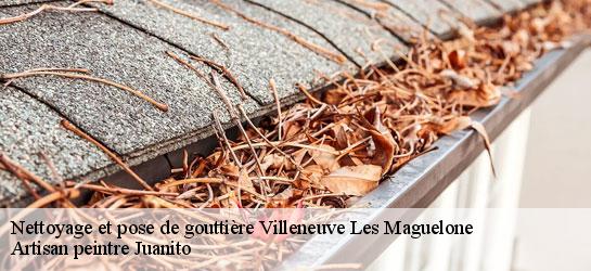 Nettoyage et pose de gouttière 34750