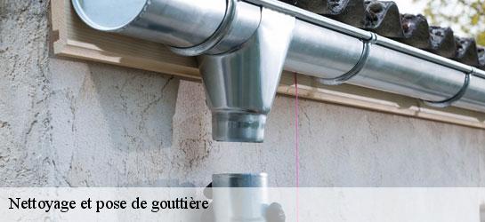 Nettoyage et pose de gouttière 34560