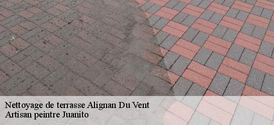 Nettoyage de terrasse  34290