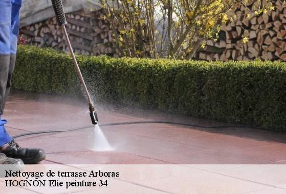 Nettoyage de terrasse  arboras-34150 HOGNON Elie peinture 34
