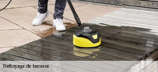 Nettoyage de terrasse  34210