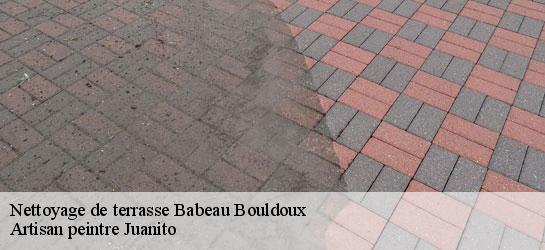 Nettoyage de terrasse  34360