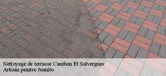 Nettoyage de terrasse  34330