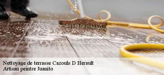 Nettoyage de terrasse  34120