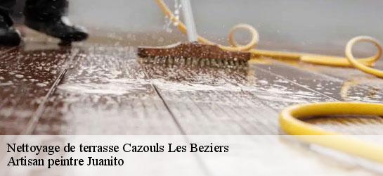 Nettoyage de terrasse  34370