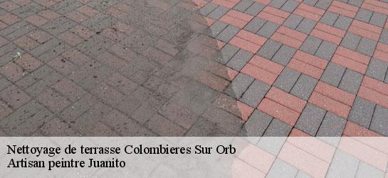 Nettoyage de terrasse  34390