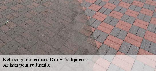 Nettoyage de terrasse 34650