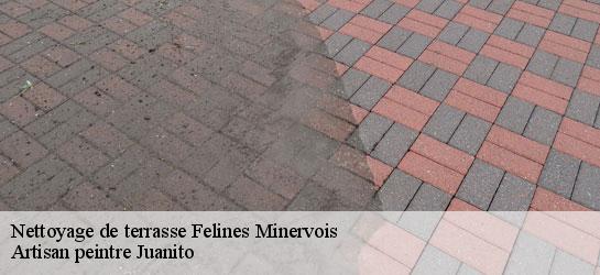 Nettoyage de terrasse 34210