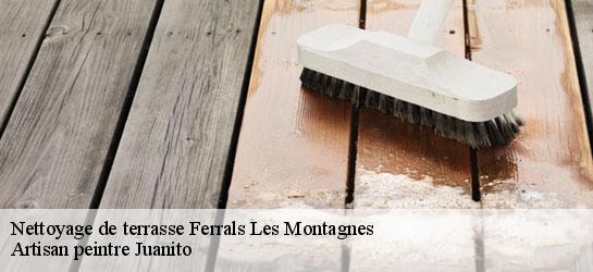 Nettoyage de terrasse 34210