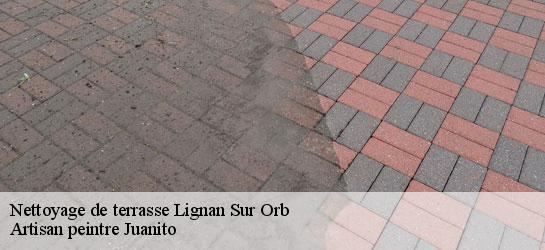 Nettoyage de terrasse  34490