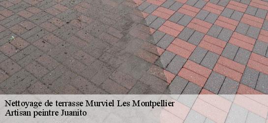 Nettoyage de terrasse 34570