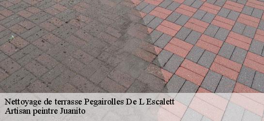 Nettoyage de terrasse 34700