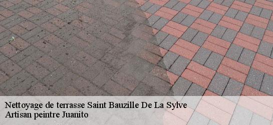 Nettoyage de terrasse  34230