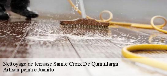 Nettoyage de terrasse  34270