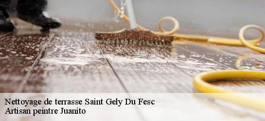 Nettoyage de terrasse  34980