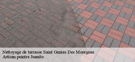 Nettoyage de terrasse 34160