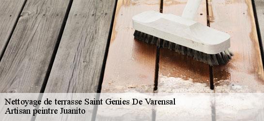 Nettoyage de terrasse 34610