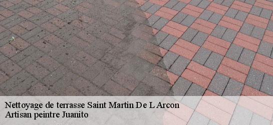 Nettoyage de terrasse  34390