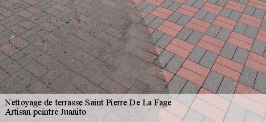 Nettoyage de terrasse 34520