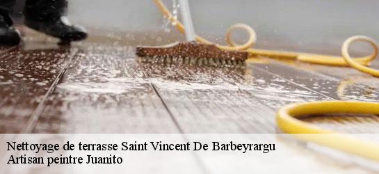 Nettoyage de terrasse  34730