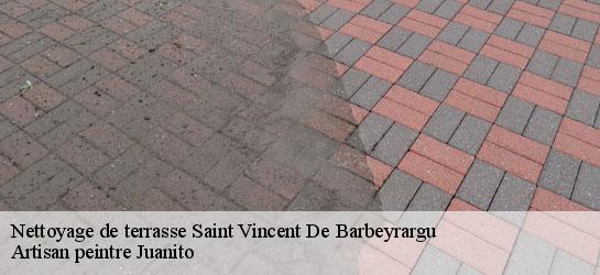 Nettoyage de terrasse  34730