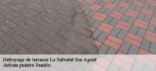 Nettoyage de terrasse  34330