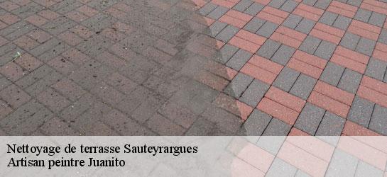 Nettoyage de terrasse  34270