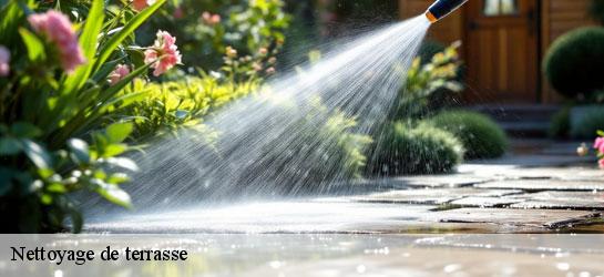 Nettoyage de terrasse  34520
