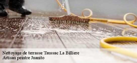 Nettoyage de terrasse 34600