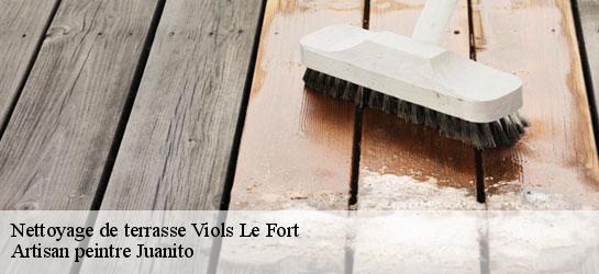 Nettoyage de terrasse  34380