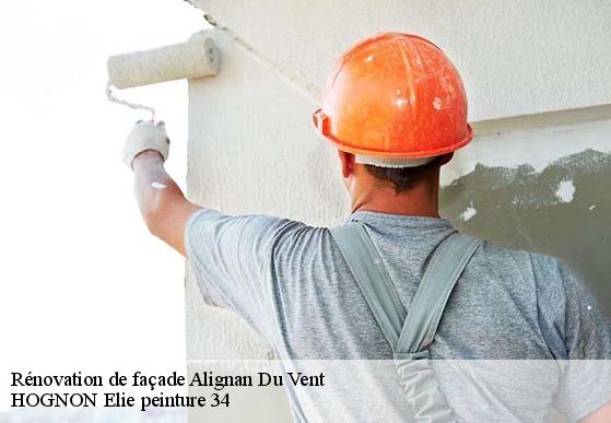 Rénovation de façade  alignan-du-vent-34290 HOGNON Elie peinture 34
