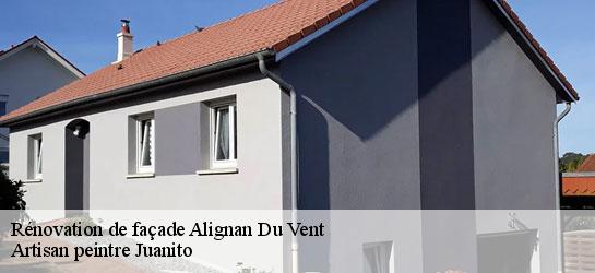 Rénovation de façade  34290