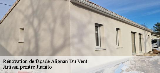 Rénovation de façade  34290