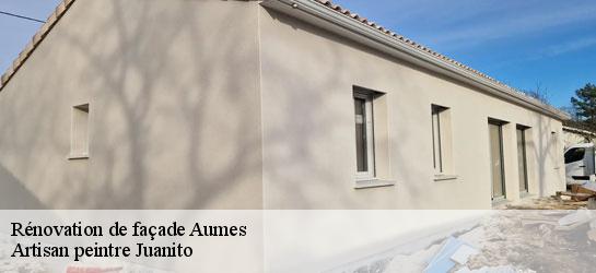 Rénovation de façade 34530