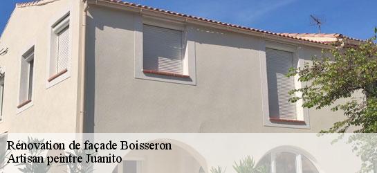 Rénovation de façade  34160