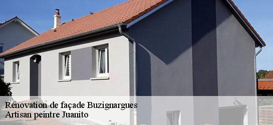 Rénovation de façade  34160